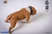 1/6 Scale Bulldog (light brown)