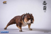 1/6 Scale Bulldog (dark brown)