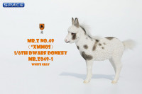 1/6 Scale Dwarf Donkey Foal (black/white)