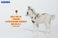 1/6 Scale Dwarf Donkey Foal (black/white)