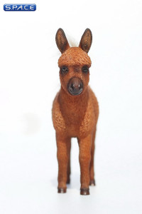 1/6 Scale Dwarf Donkey Foal (sorrel)