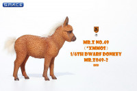 1/6 Scale Dwarf Donkey Foal (sorrel)