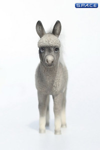 1/6 Scale Dwarf Donkey Foal (grey)