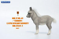 1/6 Scale Dwarf Donkey Foal (grey)