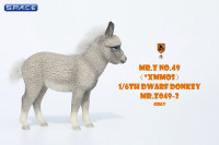1/6 Scale Dwarf Donkey Foal (grey)