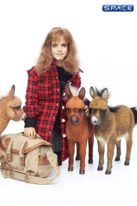 1/6 Scale Dwarf Donkey Foal (brown)