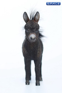 1/6 Scale Dwarf Donkey Foal (black)