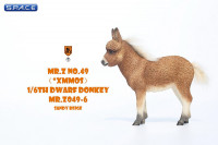 1/6 Scale Dwarf Donkey Foal (chesnut)