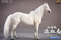 1/12 Scale white Hanoverian Horse