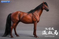 1/12 Scale brown Hanoverian Horse