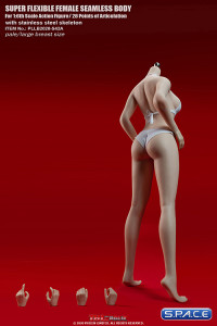 1/6 Scale female super-flexible seamless pale Body with large breast / headless