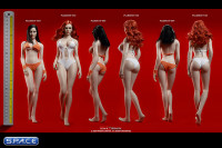 1/6 Scale female super-flexible seamless pale Body with large breast and head sculpt