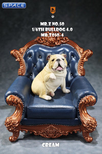 1/6 Scale Bulldog giving a paw (cream)