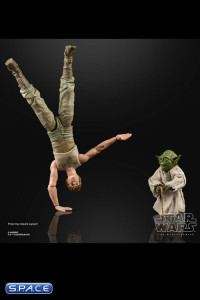 6 Luke Skywalker & Yoda Jedi Training 2-Pack (Star Wars - The Black Series)