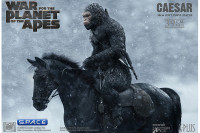 Caesar with Rifle Mixed Media Statue (War of the Planet of the Apes)