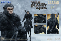 Caesar with Rifle Mixed Media Statue (War of the Planet of the Apes)