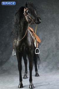 1/6 Scale Arabian Horse (black)