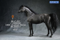 1/6 Scale Arabian Horse (black)