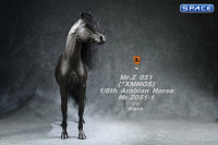 1/6 Scale Arabian Horse (black)