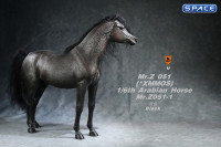 1/6 Scale Arabian Horse (black)