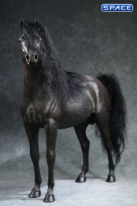 1/6 Scale Arabian Horse (black)