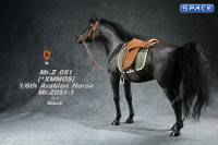 1/6 Scale Arabian Horse (black)