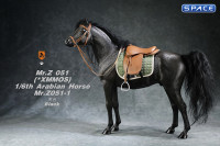 1/6 Scale Arabian Horse (black)