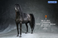 1/6 Scale Arabian Horse (black)