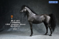 1/6 Scale Arabian Horse (black)