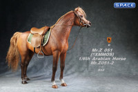 1/6 Scale Arabian Horse (red)