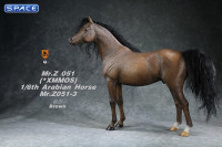 1/6 Scale Arabian Horse (brown)