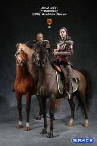 1/6 Scale Arabian Horse (brown)