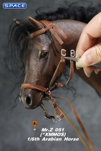 1/6 Scale Arabian Horse (brown)