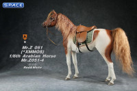 1/6 Scale Arabian Horse (red & white)