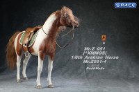 1/6 Scale Arabian Horse (red & white)