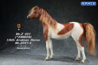 1/6 Scale Arabian Horse (red & white)