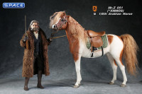 1/6 Scale Arabian Horse (red & white)