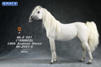 1/6 Scale Arabian Horse (white)