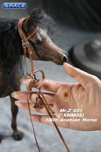 1/6 Scale Harness for Arabian Horses