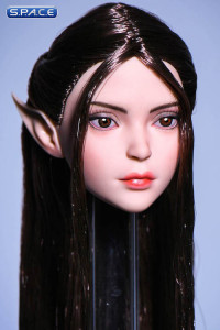 1/6 Scale Ilmare Head Sculpt (dark brown hair)