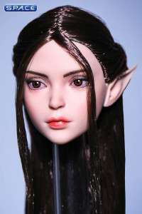 1/6 Scale Ilmare Head Sculpt (dark brown hair)