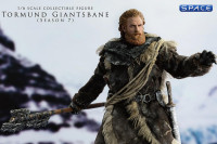 1/6 Scale Tormund Giantsbane (Game of Thrones)