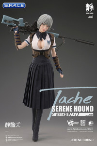 1/6 Scale Tache - Serene Hound