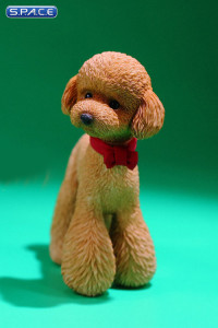 1/6 Scale Toy Poodle (red)