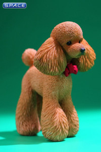 1/6 Scale Toy Poodle (red)