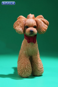 1/6 Scale Toy Poodle (red)
