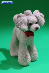 1/6 Scale Toy Poodle (grey)