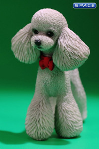 1/6 Scale Toy Poodle (grey)