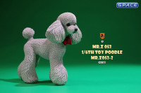 1/6 Scale Toy Poodle (grey)
