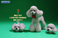 1/6 Scale Toy Poodle (grey)